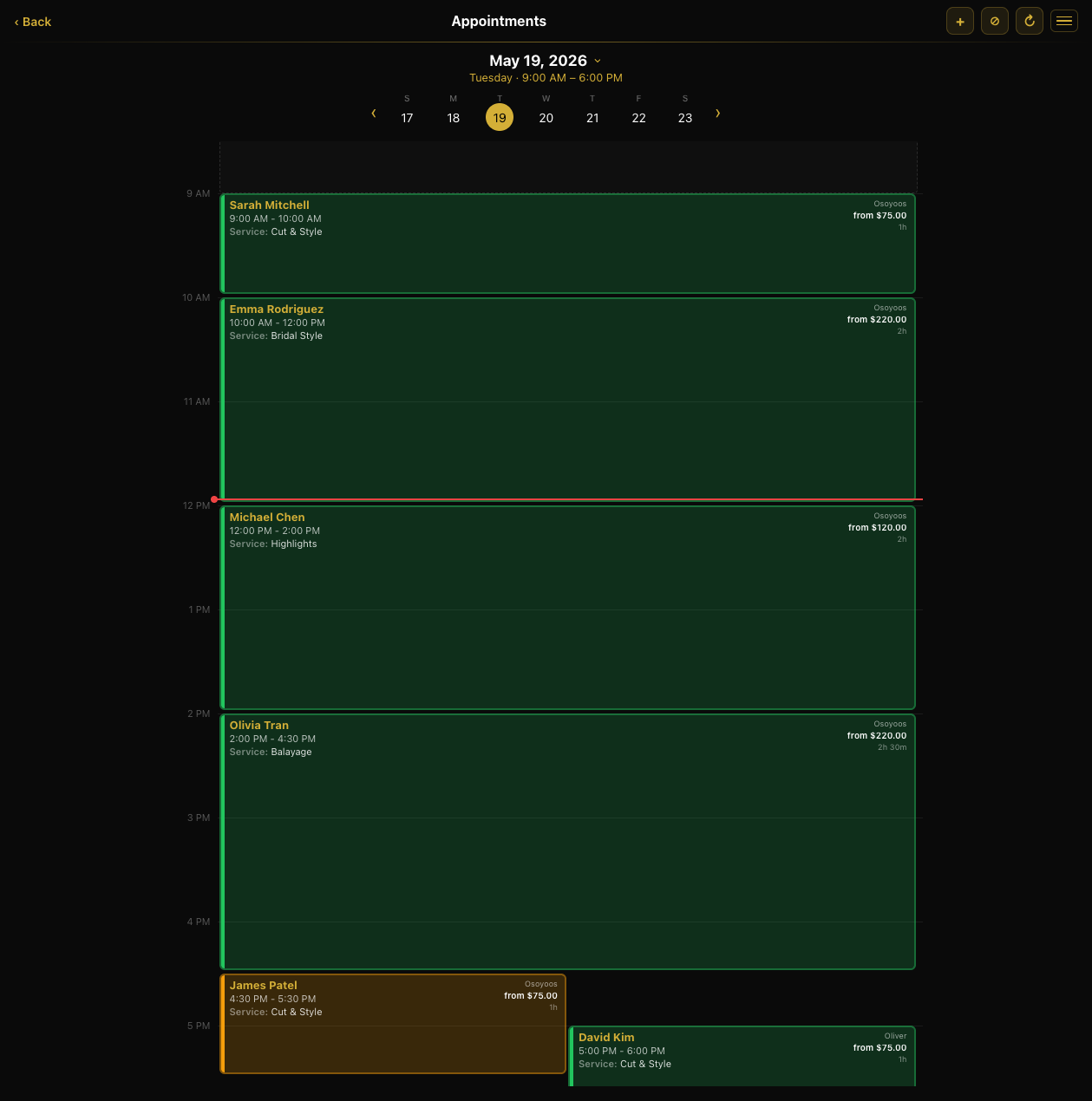 Appointments calendar with stylist schedule
